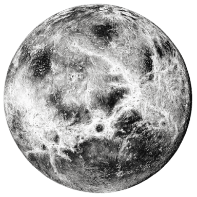 Vénus