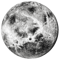 Vénus
